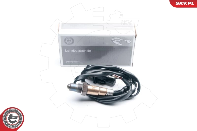 Oxygen Sensor